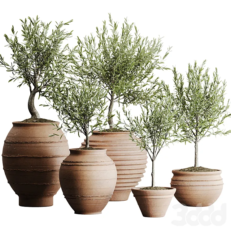 Категория !!! НОВЫЕ превью для разбора